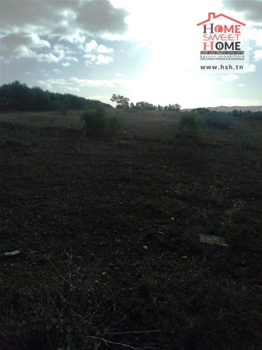 Borj El Amri&nbsp;Borj El Amri&nbsp;Terrain&nbsp;Terrain agricole&nbsp;Terrain agricole solvia � borj el amri