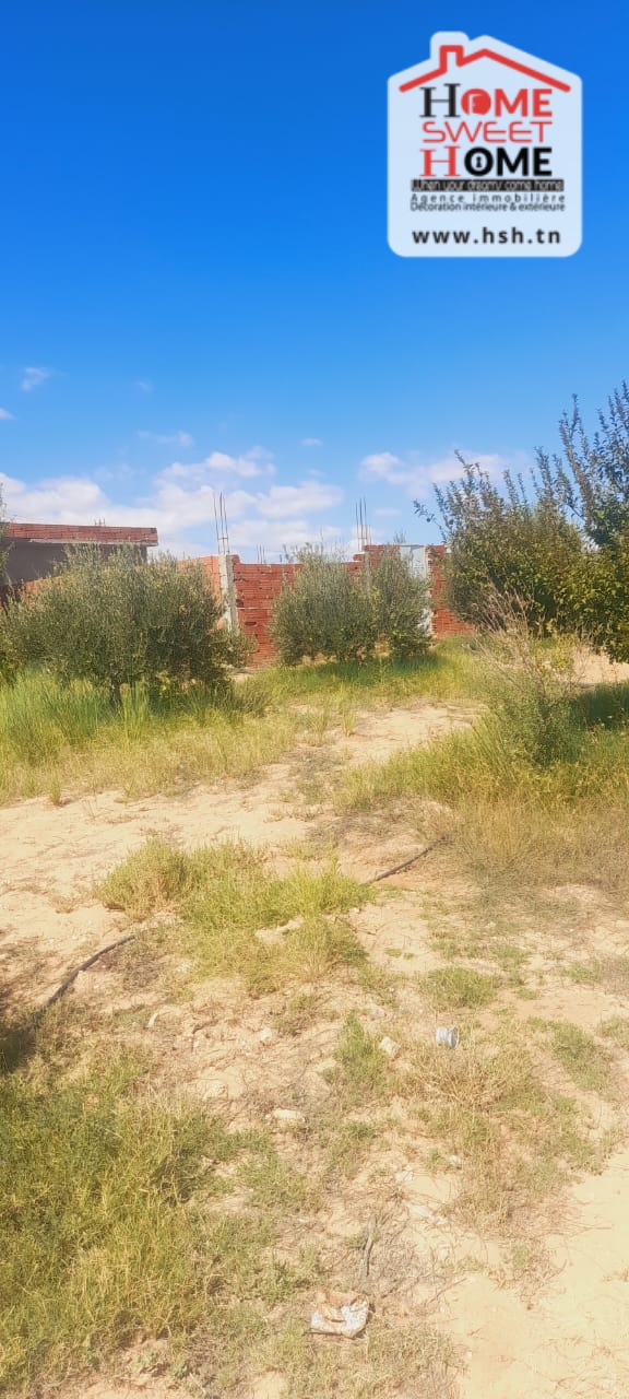 Gafsa Nord&nbsp;Ouled Zid&nbsp;Terrain&nbsp;Terrain agricole&nbsp;Terrain agricole prairie � feriana