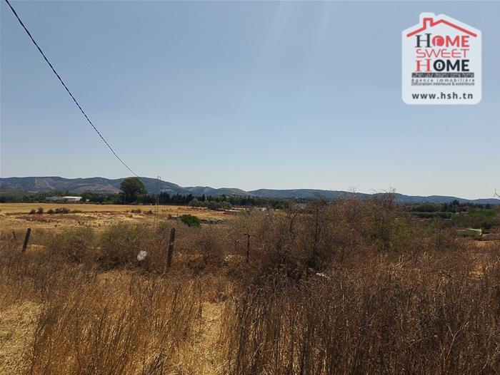 Menzel Bouzelfa&nbsp;Menzel Bouzelfa&nbsp;Terrain&nbsp;Terrain agricole&nbsp;Terrain agricole armani � manzel bouzelfa