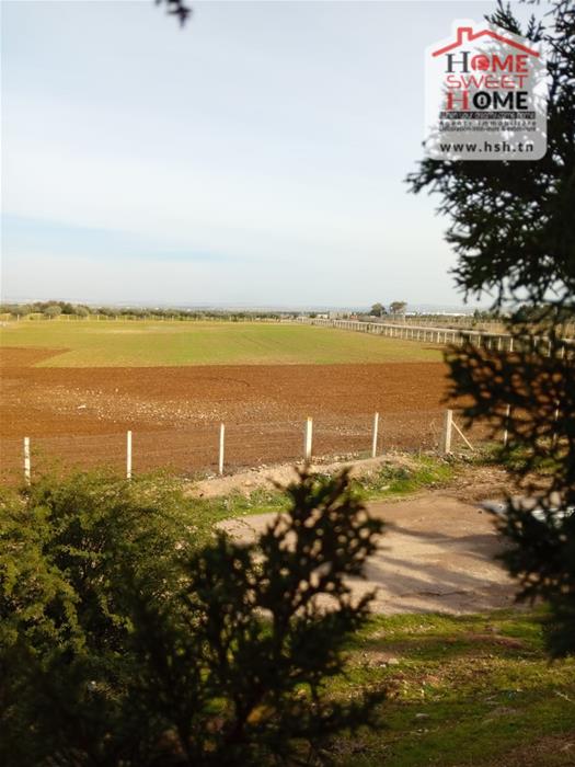 Borj El Amri&nbsp;Borj El Amri&nbsp;Terrain&nbsp;Terrain agricole&nbsp;Terrain agricole baraka borj el amri