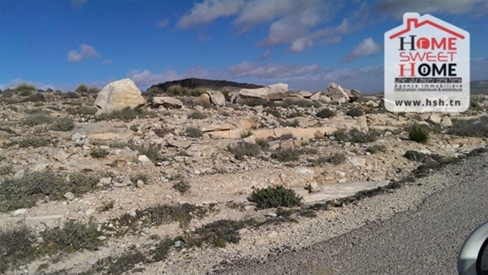 Siliana Nord&nbsp;Cite Cnrps&nbsp;Terrain&nbsp;Terrain nu&nbsp;Terrain imperial � siliana