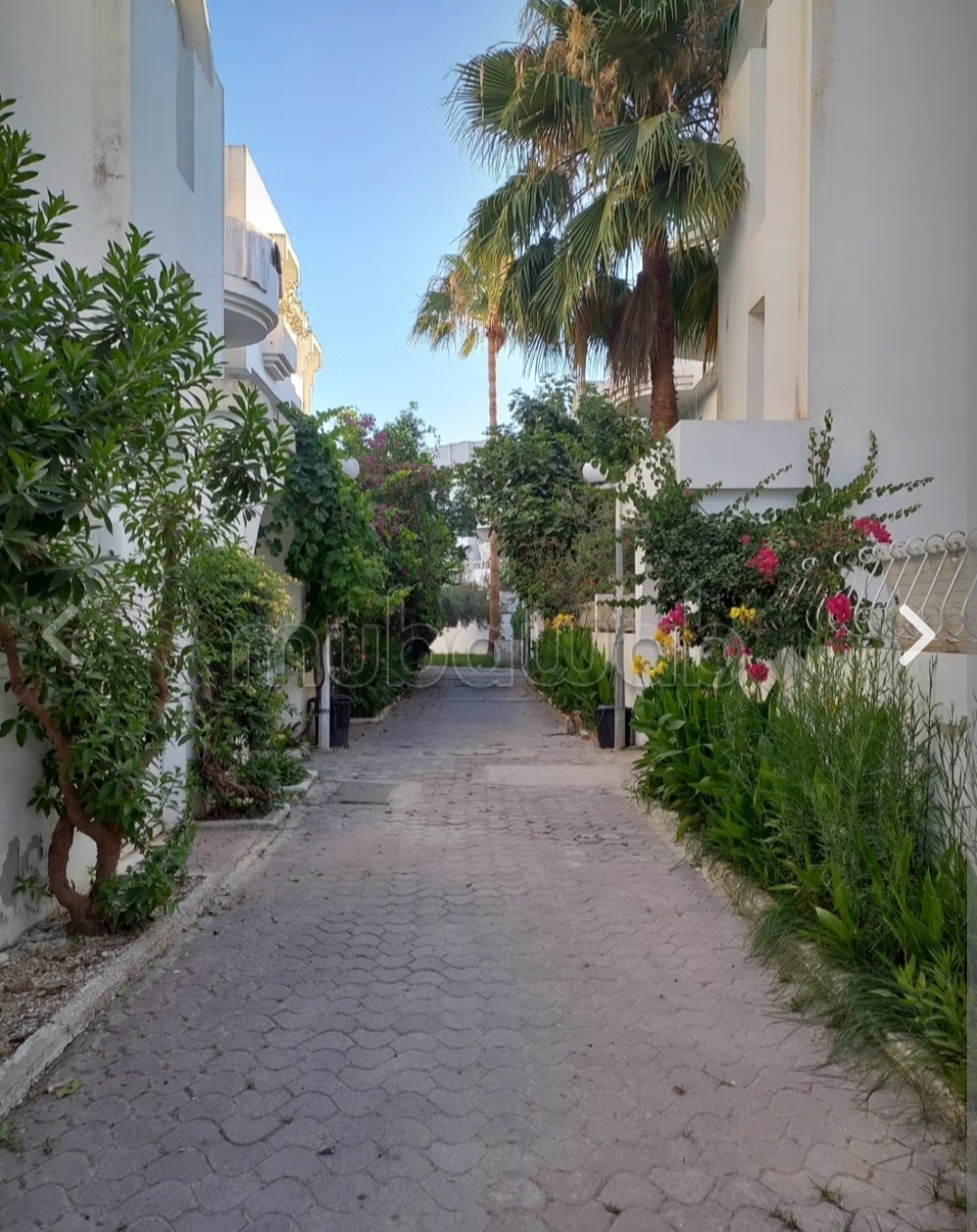 Ain Zaghouan&nbsp;Ain Zaghouan&nbsp;Location&nbsp;Appart. 2 pi�ces&nbsp;S1 a ain zaghouan