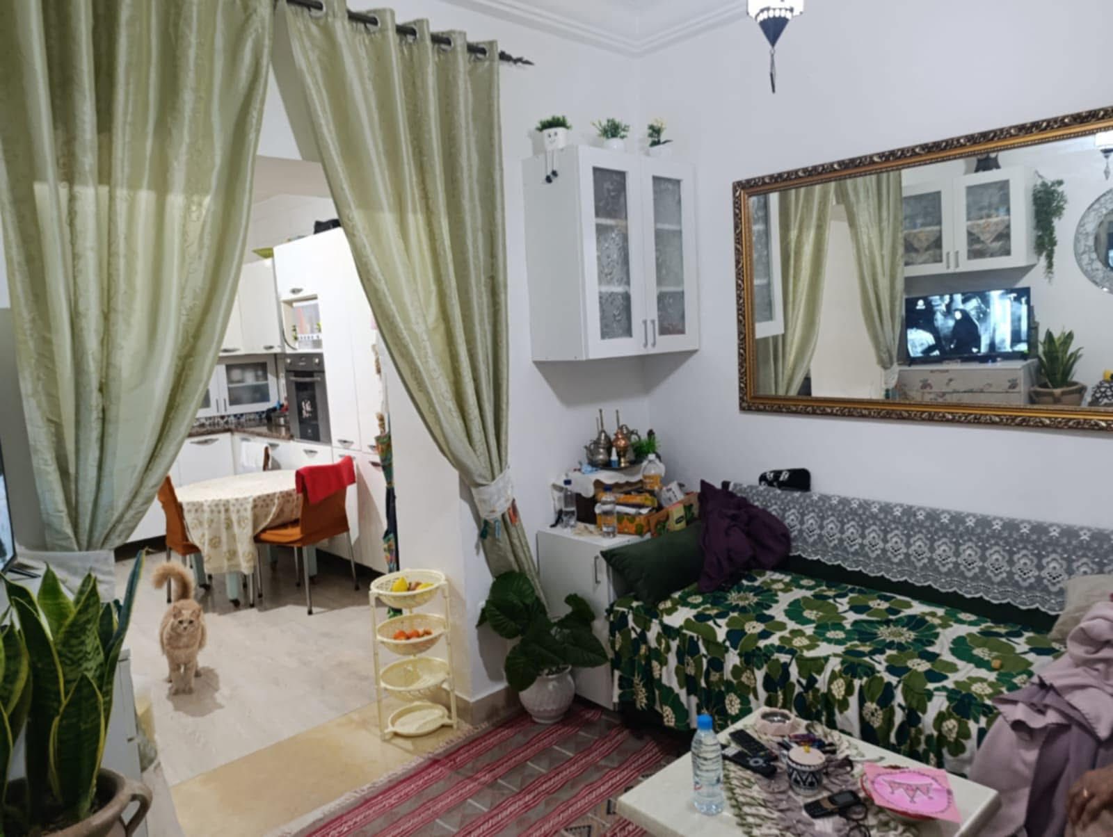 Ariana Ville Borj El Baccouche Vente Maisons Maison plein pied de standing