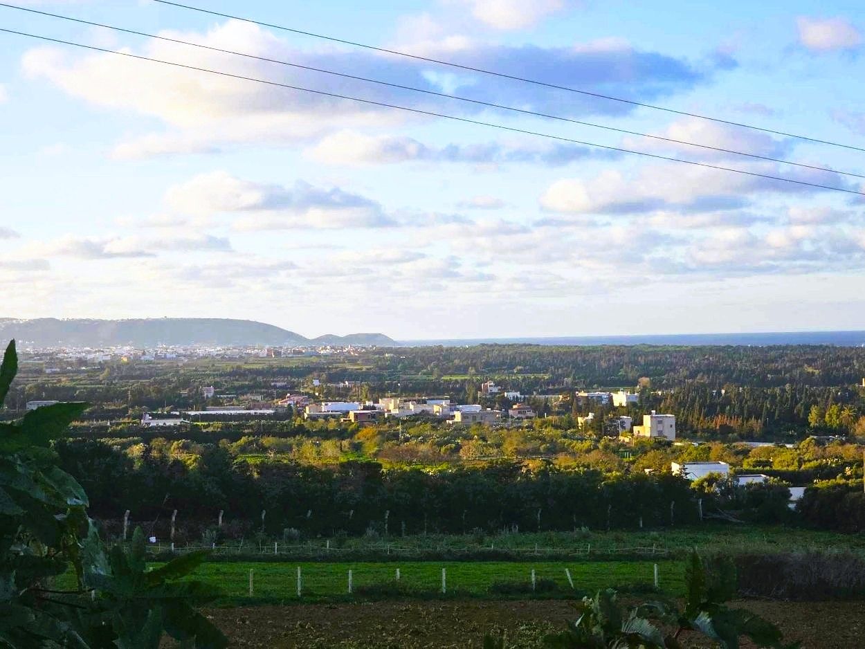 Ras Jebel&nbsp;Sounine&nbsp;Terrain&nbsp;Terrain nu&nbsp;Terrain 970 m2 � sounine vue mer nature