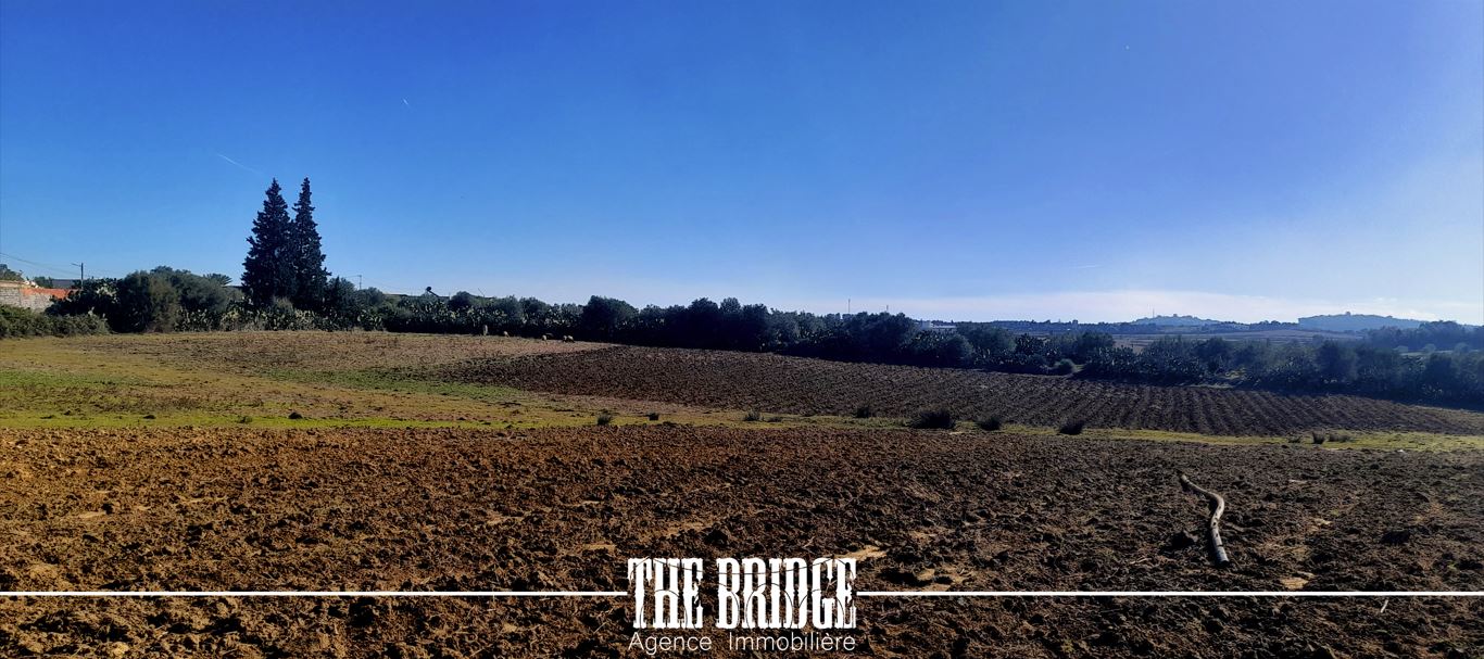 Bou Argoub Bou Ali Terrain Terrain agricole Terrain nu de 13 977 mc  bou argoub