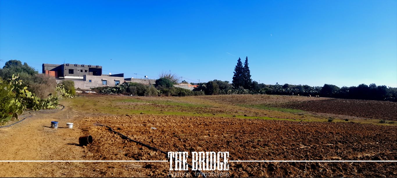 Bou Argoub Bou Ali Terrain Terrain agricole Terrain nu de 13 977 mc  bou argoub