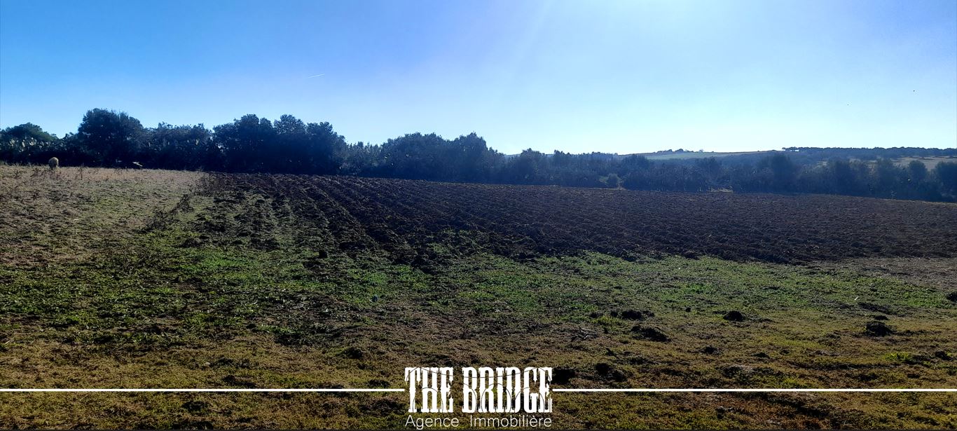 Bou Argoub Bou Ali Terrain Terrain agricole Terrain nu de 13 977 mc  bou argoub