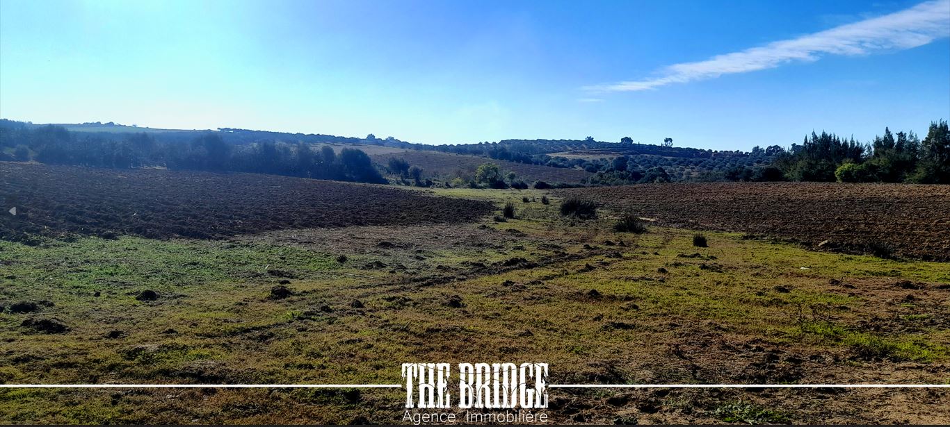 Bou Argoub Bou Ali Terrain Terrain agricole Terrain nu de 13 977 mc  bou argoub