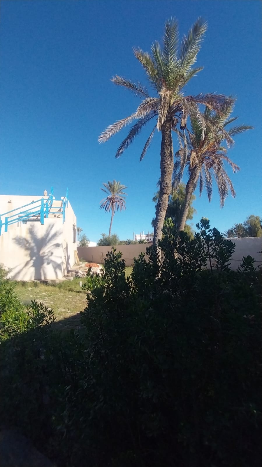 Djerba - Houmet Essouk&nbsp;Sidi Mehrez&nbsp;Vente&nbsp;Maisons&nbsp;Maison � d�molir sur terrain en zone touristique