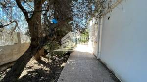 Ariana Ville&nbsp;El Menzah 5&nbsp;Vente&nbsp;Maisons&nbsp;Villa plain pied de 600m2   menzah 5