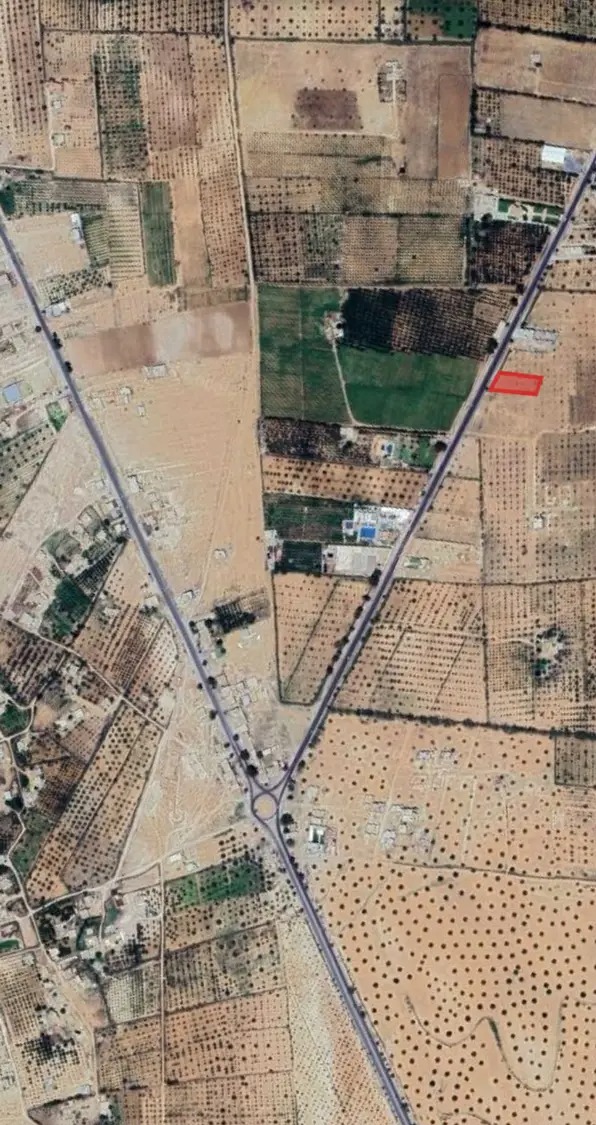 Sbeitla&nbsp;Sbeitla&nbsp;Terrain&nbsp;Terrain nu&nbsp;Id�al pour habitation