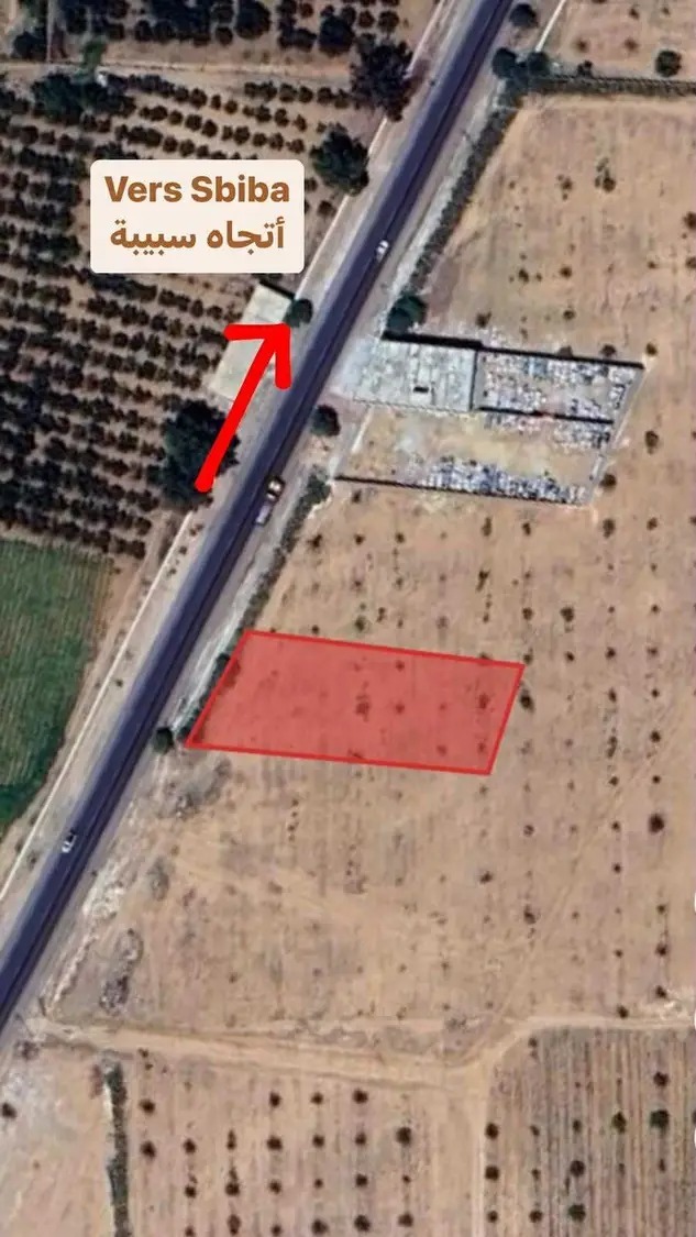 Sbeitla&nbsp;Sbeitla&nbsp;Terrain&nbsp;Terrain nu&nbsp;Id�al pour habitation