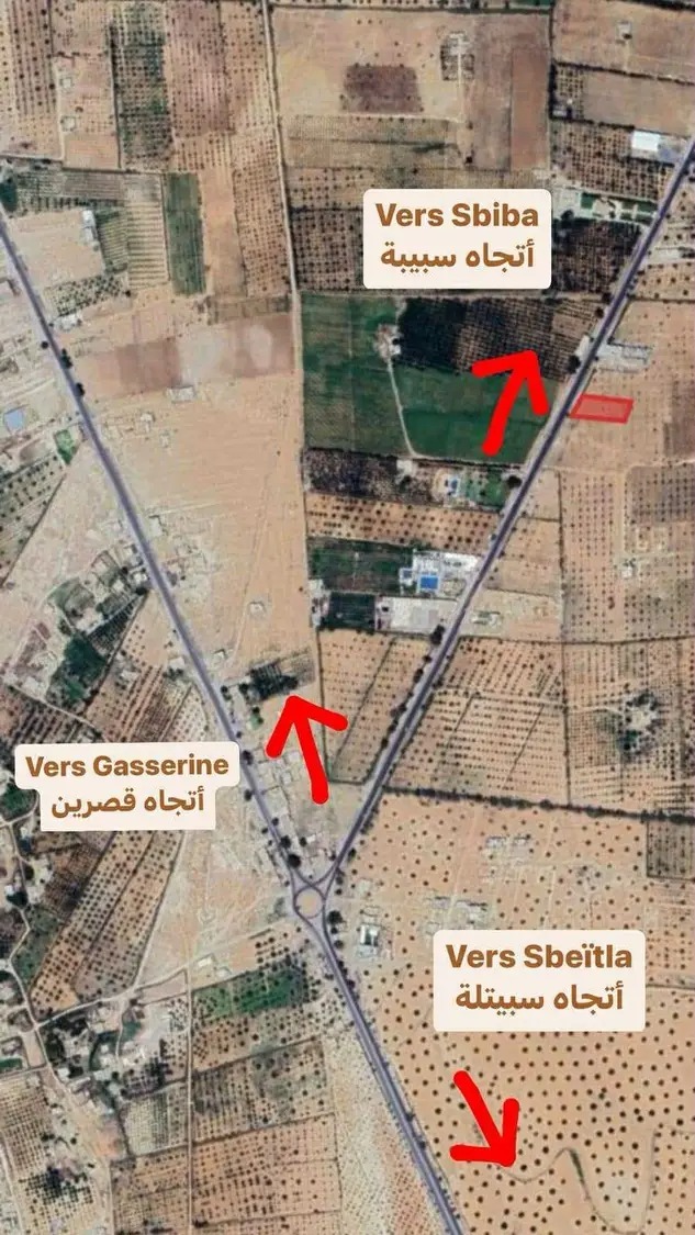 Sbeitla&nbsp;Sbeitla&nbsp;Terrain&nbsp;Terrain nu&nbsp;Id�al pour habitation