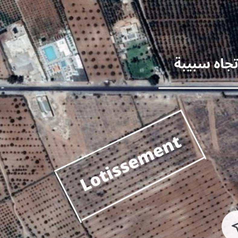 Sbeitla&nbsp;Sbeitla&nbsp;Terrain&nbsp;Terrain nu&nbsp;Construction ou investissement