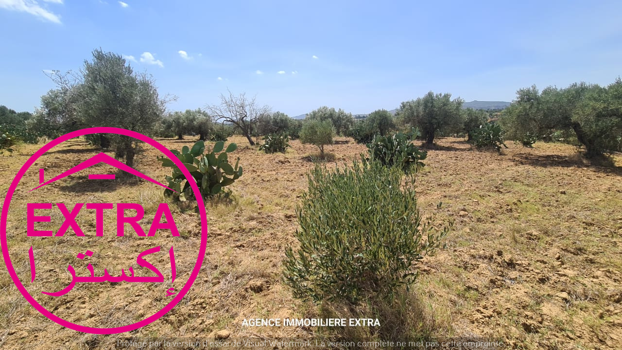 Nabeul Nabeul Terrain Terrain agricole Terrain agricole  el haouarianabeul