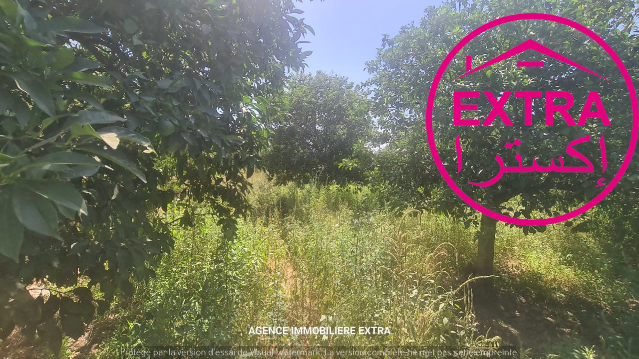 Nabeul Nabeul Terrain Terrain agricole Campagne  nabeul