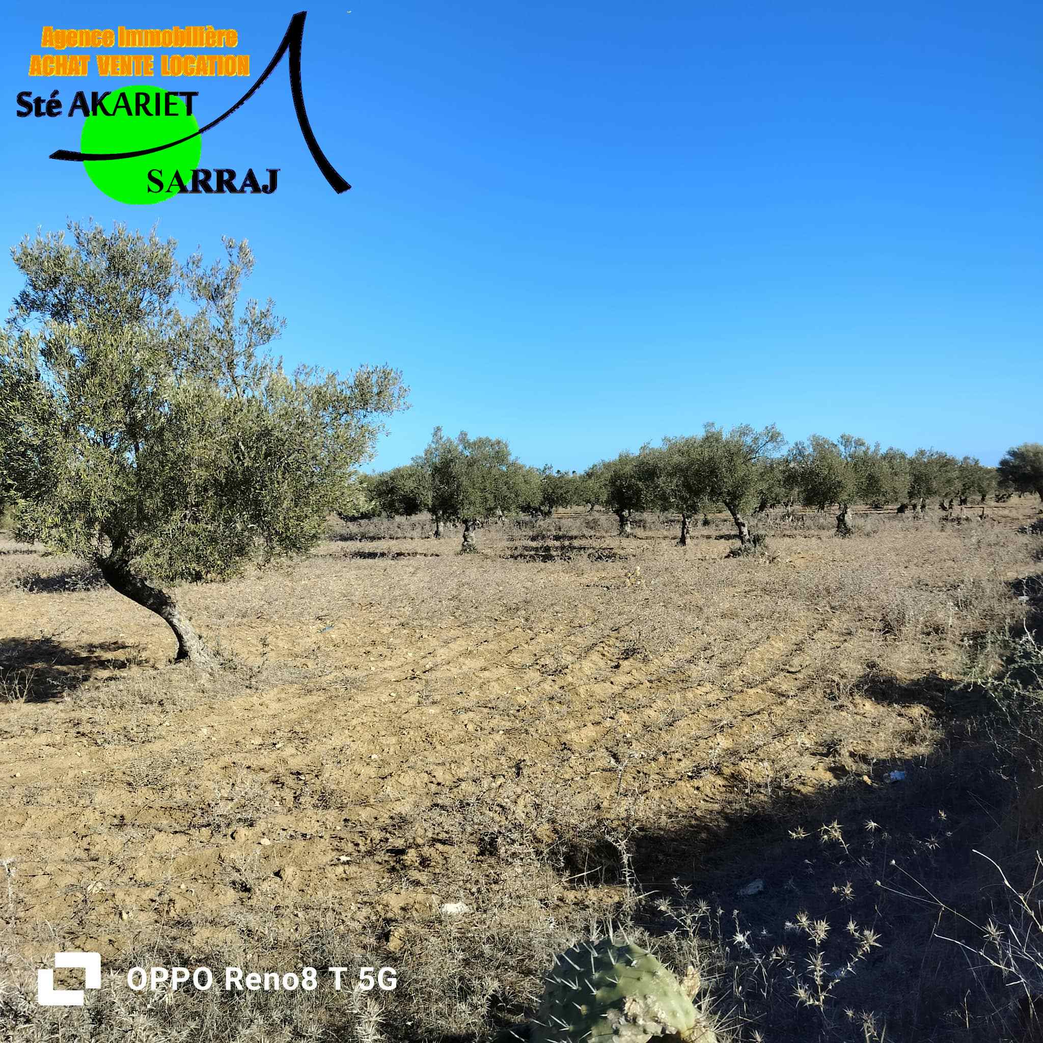 Hergla Hergla Terrain Terrain agricole Lot d'investissement 2800m derrire karting hergla