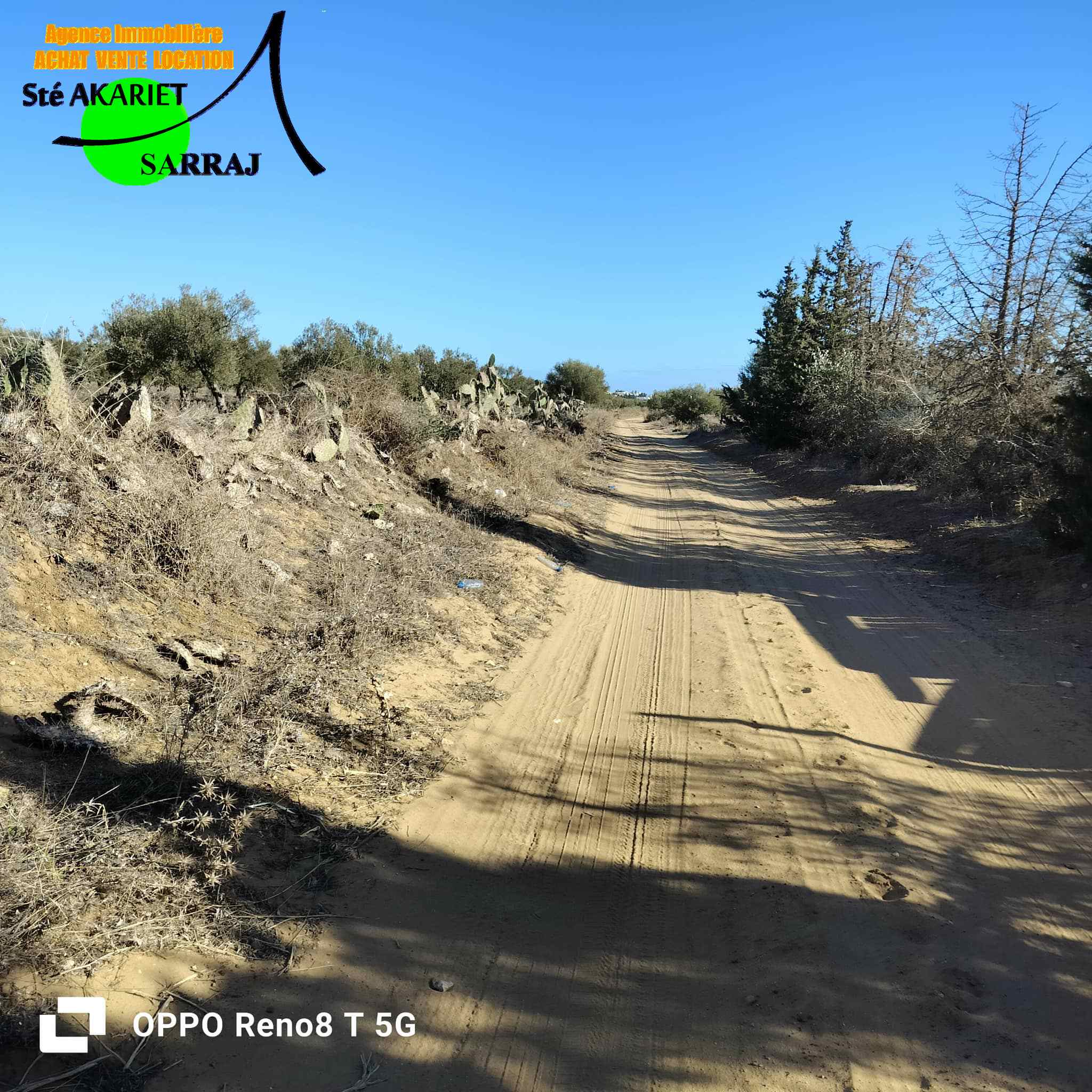 Hergla Hergla Terrain Terrain agricole Lot d'investissement 2800m derrire karting hergla