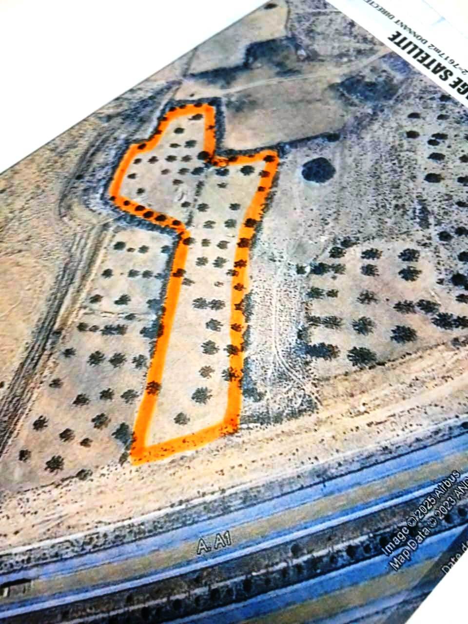 Sidi Bou Ali Sidi Bou Ali Terrain Terrain agricole Terrain 8000m sur l'autoroute sidi bouali fokaia