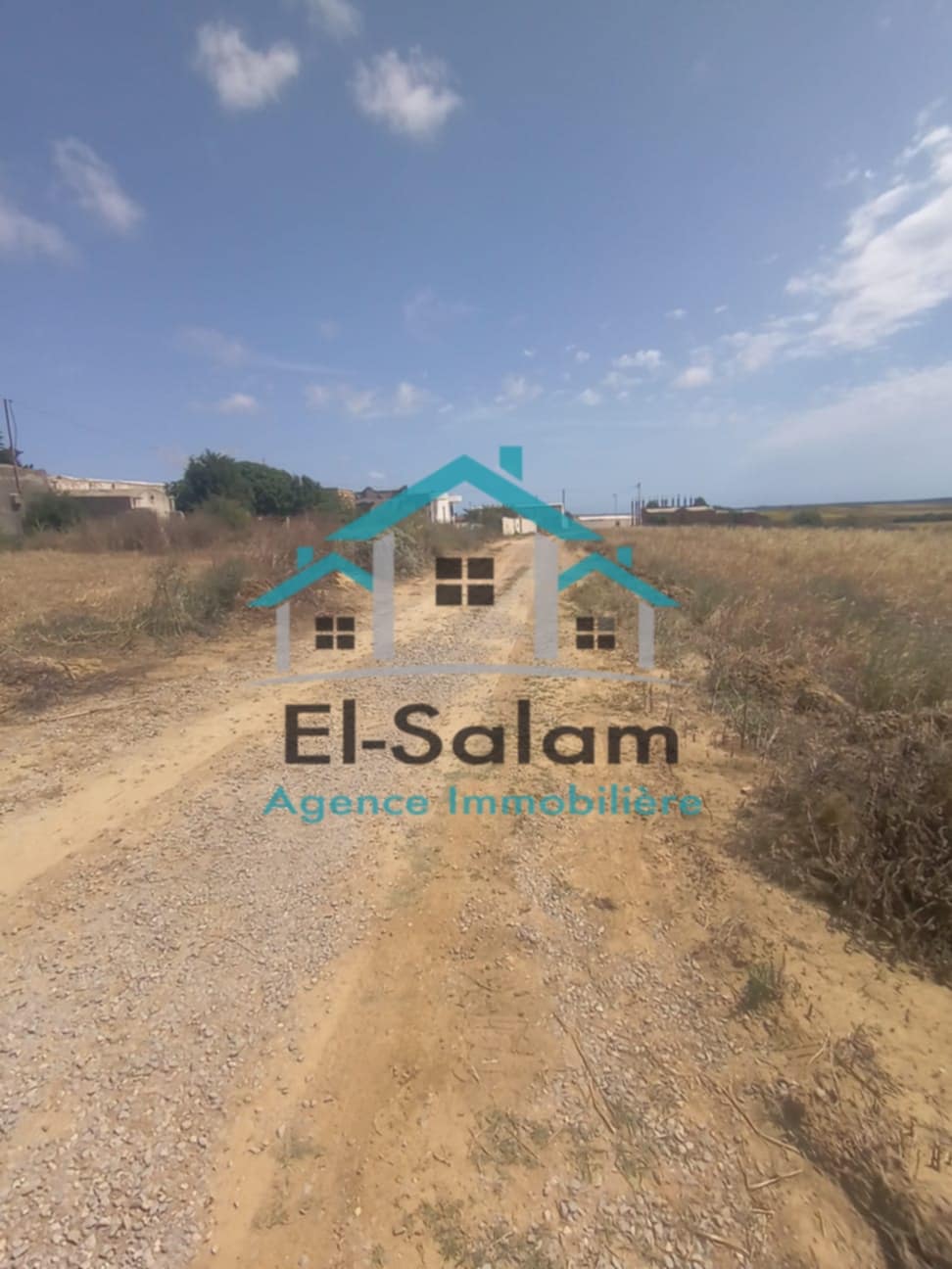 Kelibia&nbsp;Azmour&nbsp;Terrain&nbsp;Terrain nu&nbsp;8000m2 seulement a 70000 dt