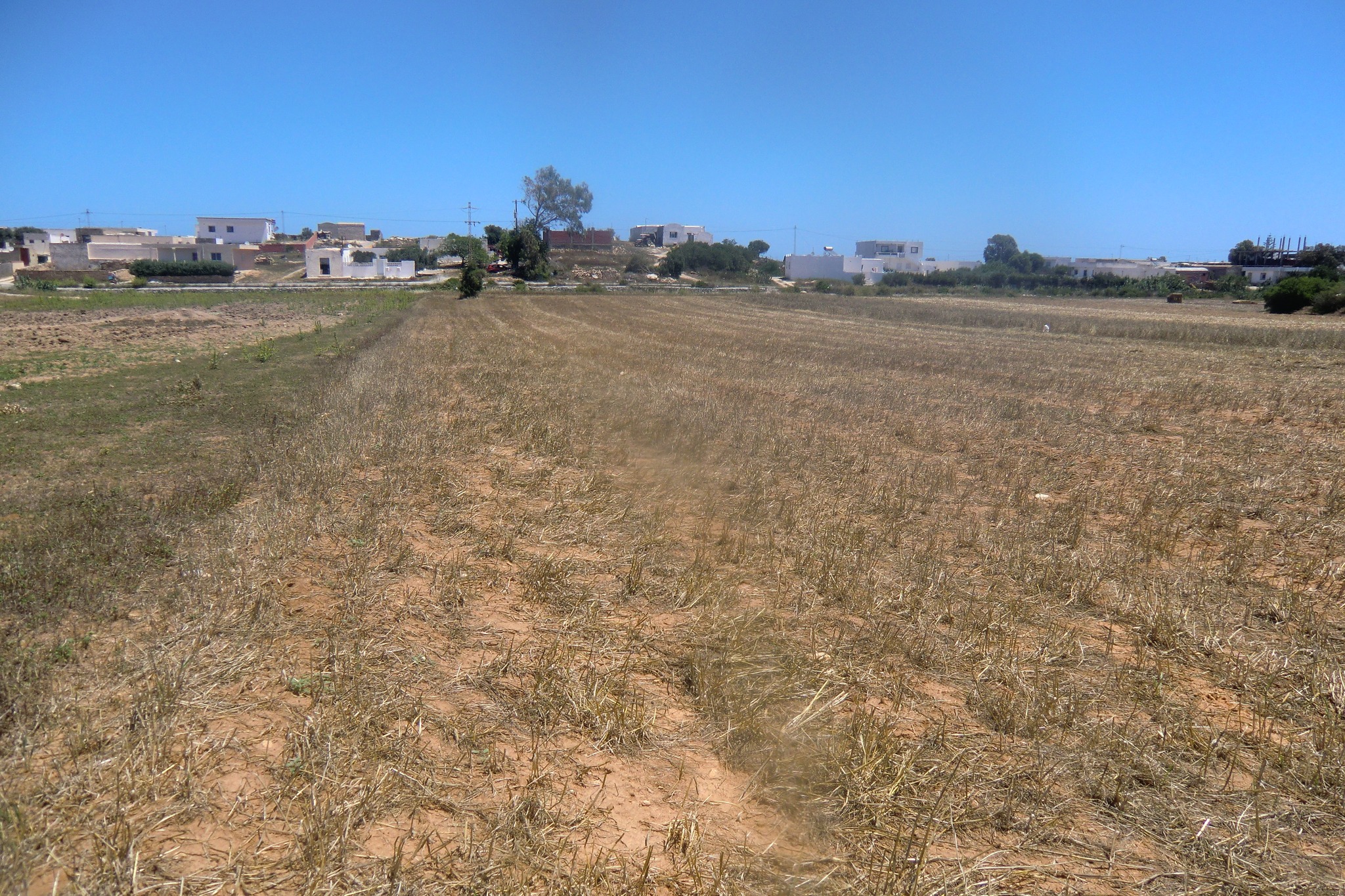 Kelibia&nbsp;Dar Allouche&nbsp;Terrain&nbsp;Terrain nu&nbsp;Lotisement 80dt le m2