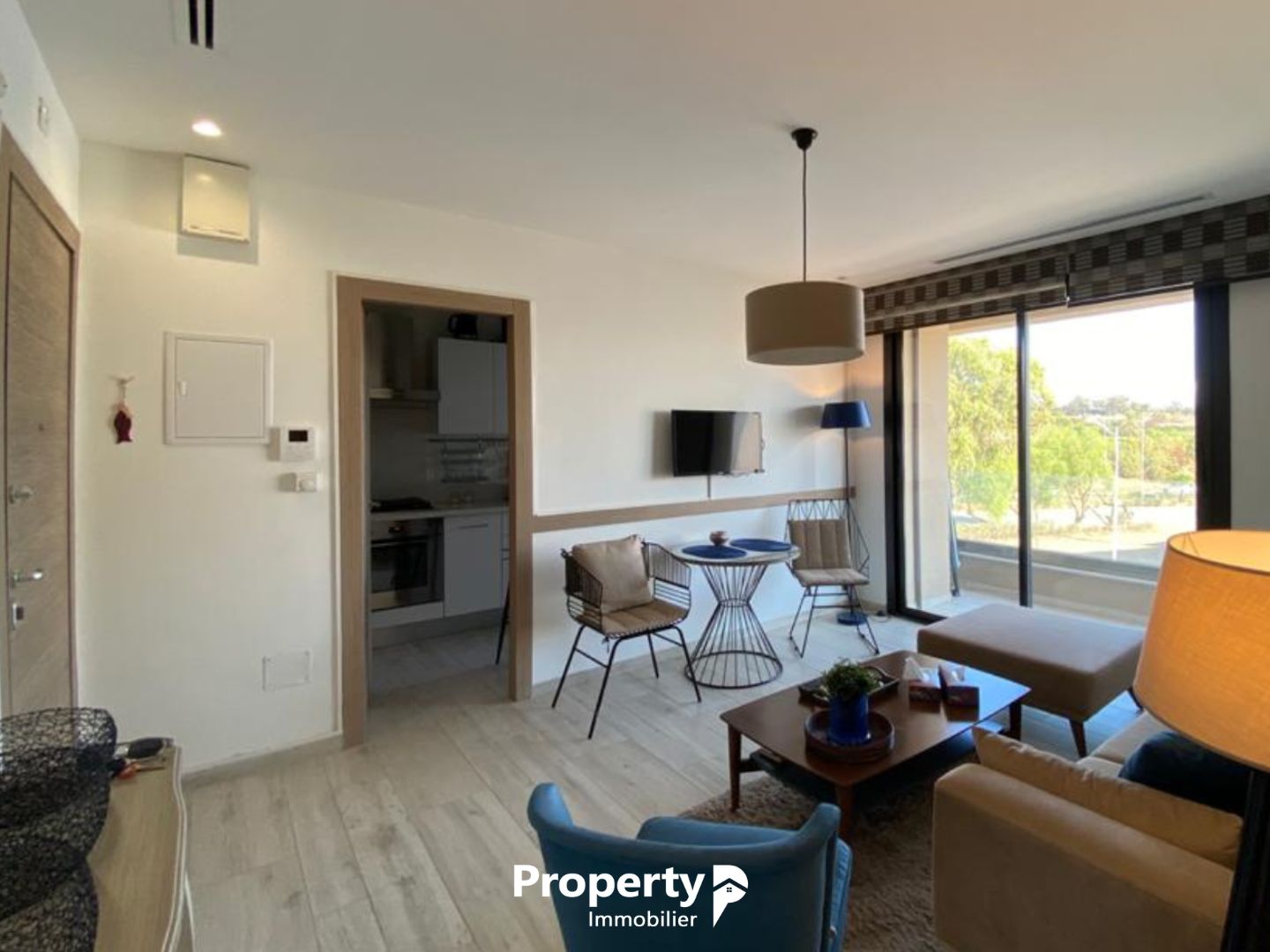 La Marsa Sidi Daoud Location Appart. 1 pice Appartement s1 entirement meubl