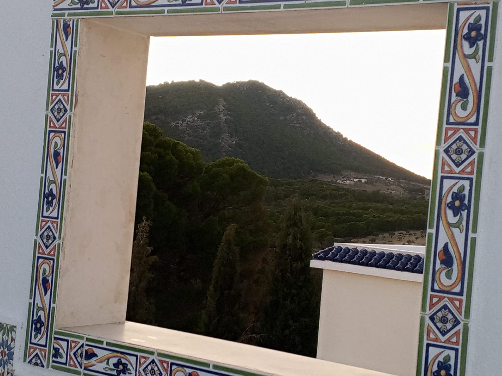 Siliana Sud&nbsp;Sidi Morched&nbsp;Terrain&nbsp;Terrain agricole&nbsp;Ferme de charme en pleine nature