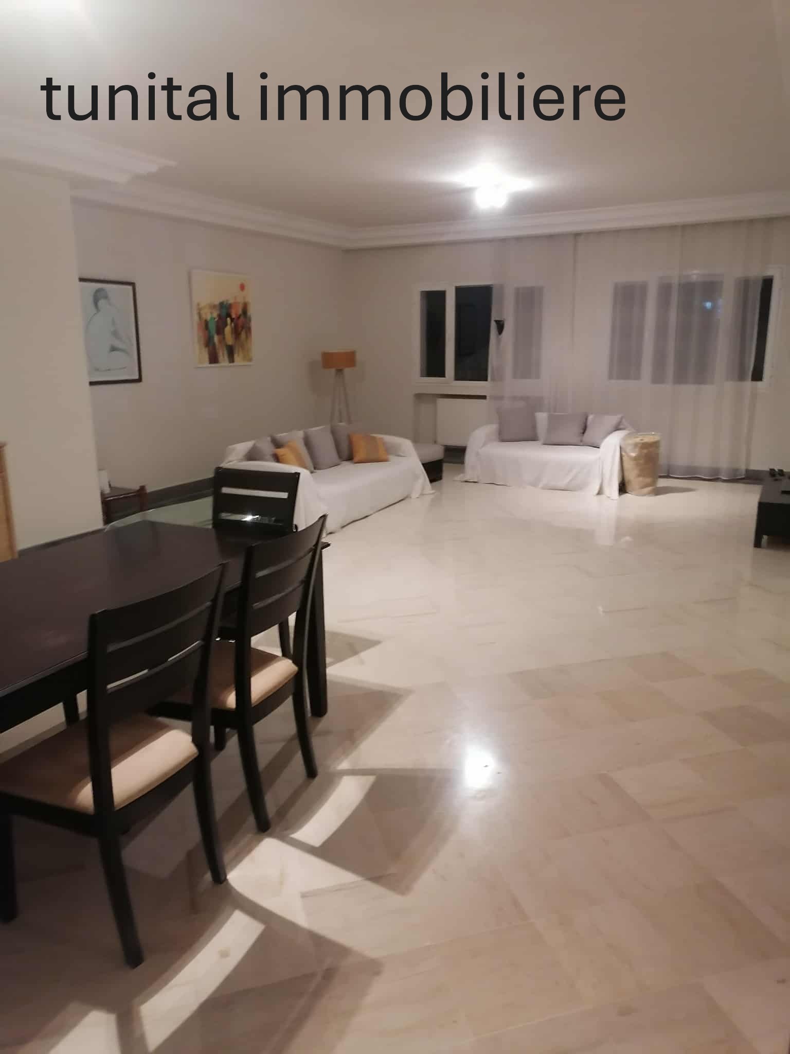 La Marsa&nbsp;Marsa Safsaf&nbsp;Location&nbsp;Appart. 1 pi�ce&nbsp;La marsa cot� r�sidence l'ambassadeur de france