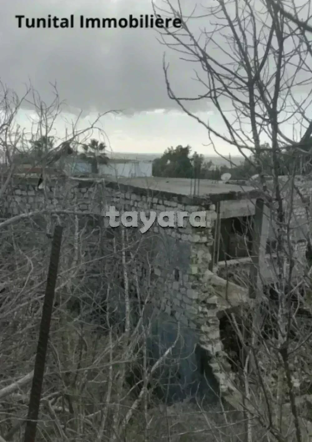 La Marsa Gammart Terrain Terrain nu Gammarth  suprieure cot journal