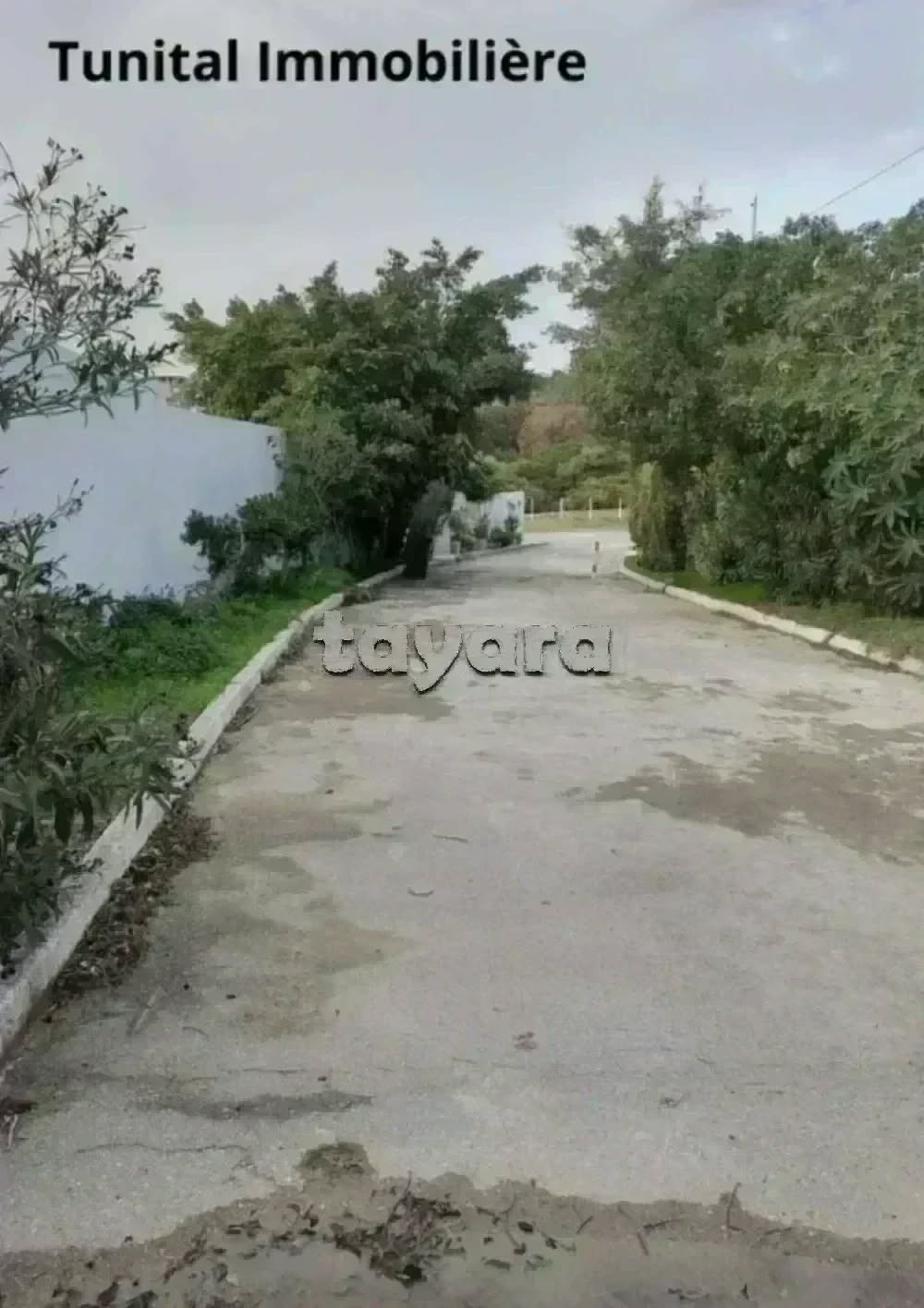 La Marsa Gammart Terrain Terrain nu Gammarth  suprieure cot journal