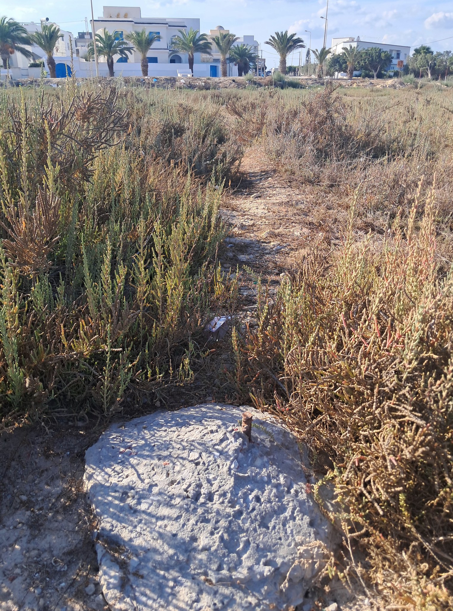 Beni Khiar El Maamoura Vente Surfaces Maamoura plage vdterrain 1000 m2 pieds dans l'eau