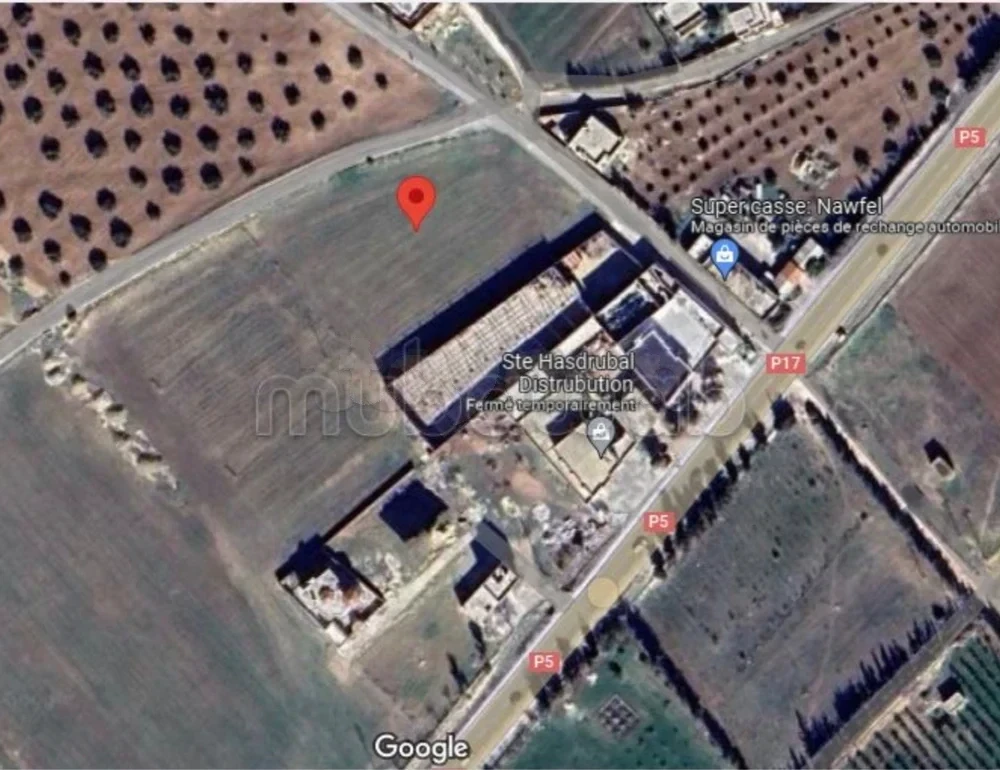 Le Kef Ouest&nbsp;Kef Ouest&nbsp;Terrain&nbsp;Terrain nu&nbsp;Derniers lots de terrain