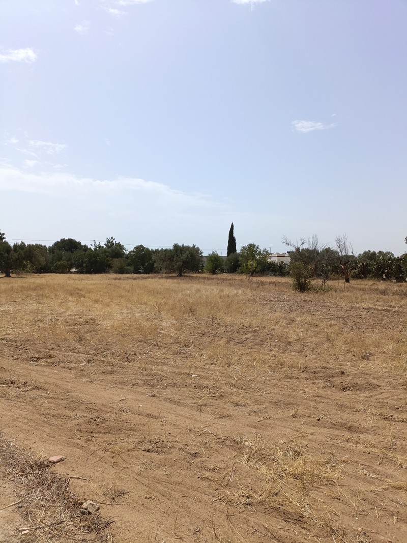 Hammamet&nbsp;Hammamet&nbsp;Terrain&nbsp;Terrain agricole&nbsp;Av terrain 2100m sur la route � sidi mtir