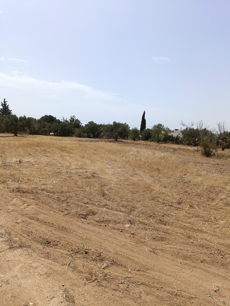 Hammamet&nbsp;Hammamet&nbsp;Terrain&nbsp;Terrain nu&nbsp;Av terrain 2100m � sidi mtire