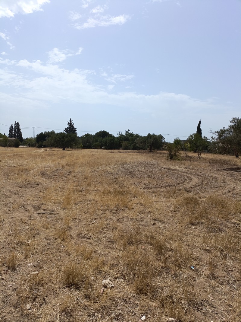 Hammamet&nbsp;Hammamet&nbsp;Terrain&nbsp;Terrain nu&nbsp;Av terrain 2100m � sidi mtire