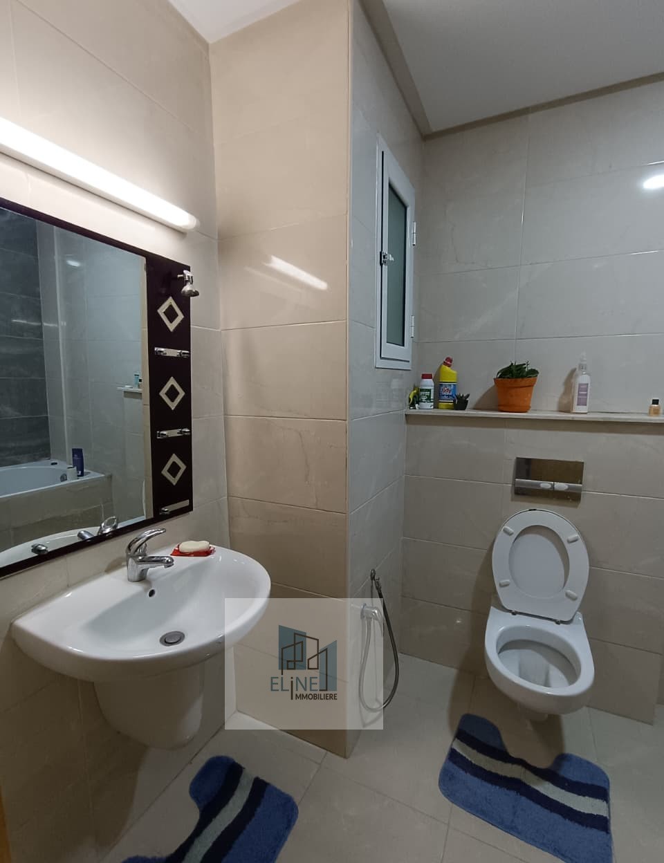 La Marsa&nbsp;El Aouina&nbsp;Location&nbsp;Appart. 2 pi�ces&nbsp;Appt s plus 2 richement meublee a citee el wahat