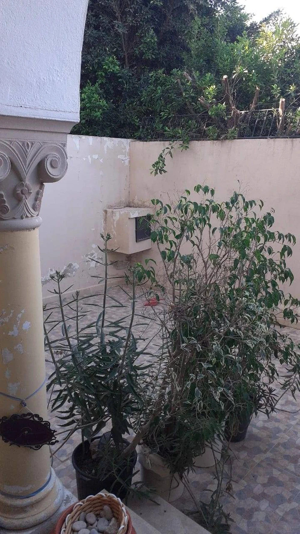 Ariana Ville Cite De La Sante Vente Duplex Duplex ariana