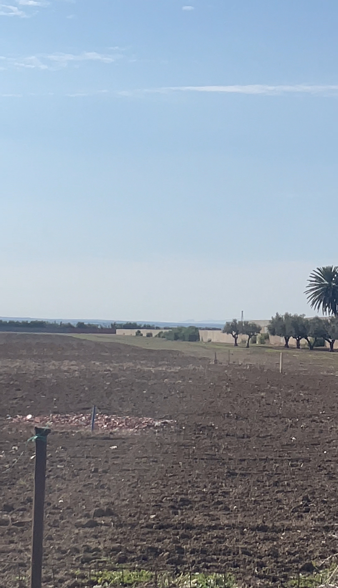 Mornaguia Cite Toumia Terrain Terrain nu Terrain cite hay toumeya mornaguia