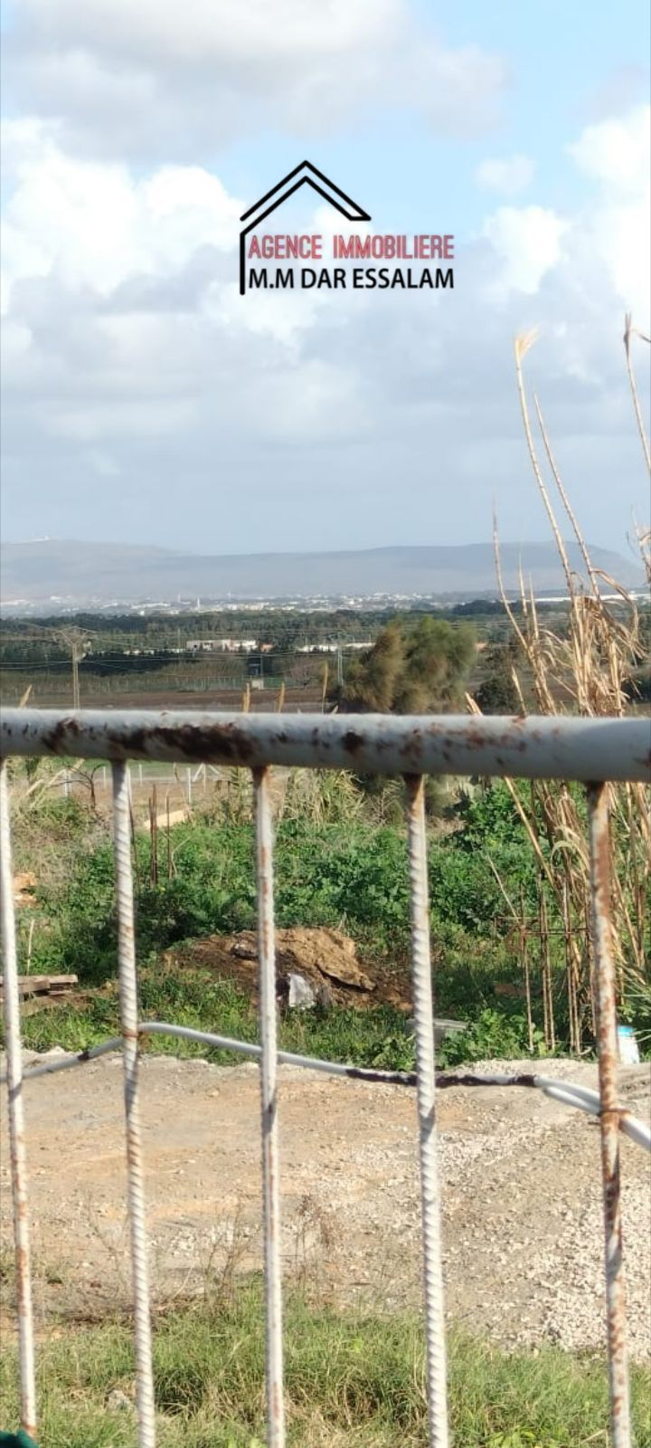 Kelibia&nbsp;Azmour&nbsp;Terrain&nbsp;Terrain nu&nbsp;Terrain situ� sur la route principale