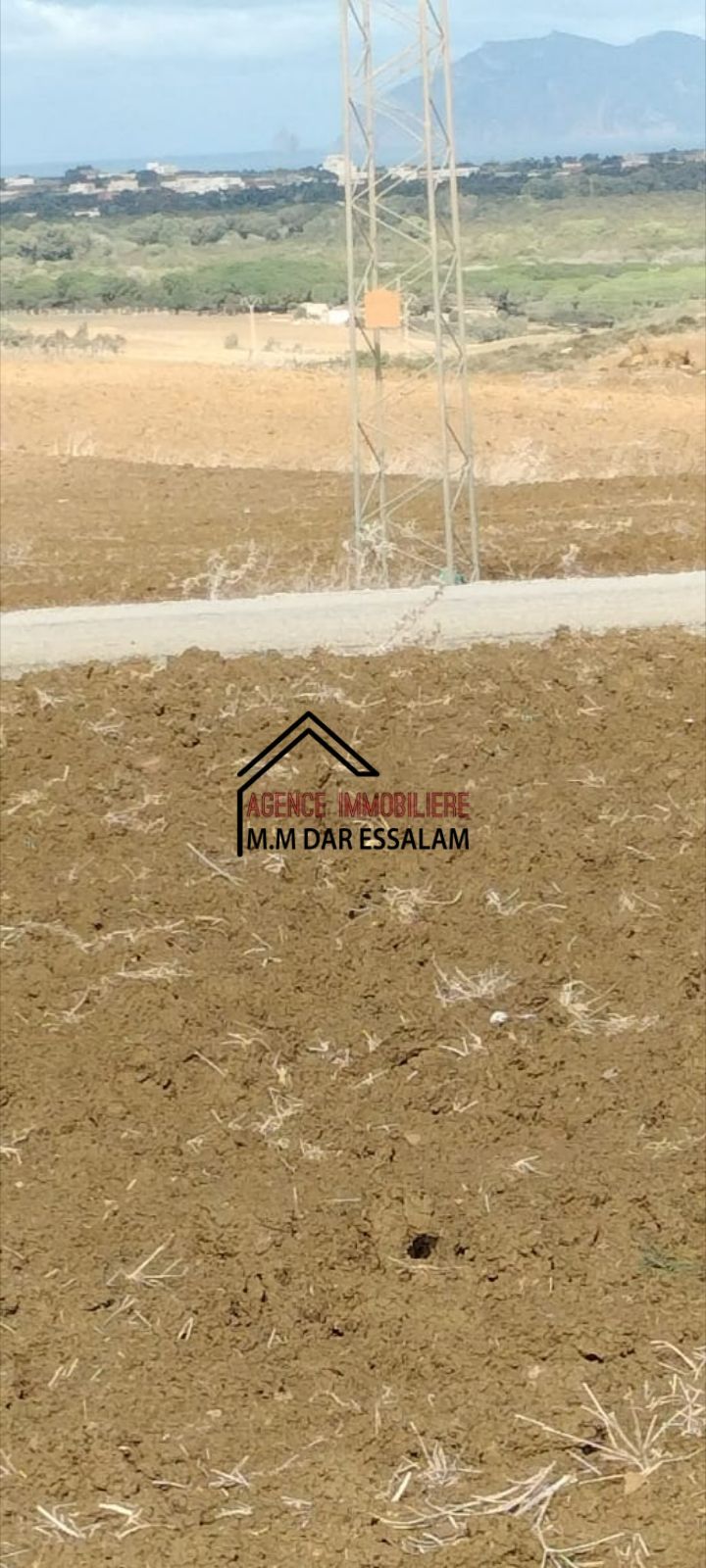 El Haouaria&nbsp;El Haouaria&nbsp;Terrain&nbsp;Terrain agricole&nbsp;Terrain agricole vue de mer