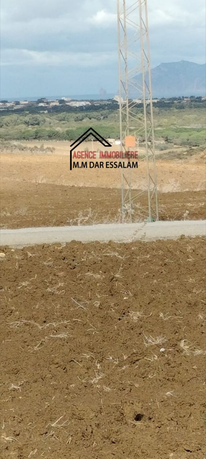 El Haouaria&nbsp;El Haouaria&nbsp;Terrain&nbsp;Terrain agricole&nbsp;Terrain agricole vue de mer