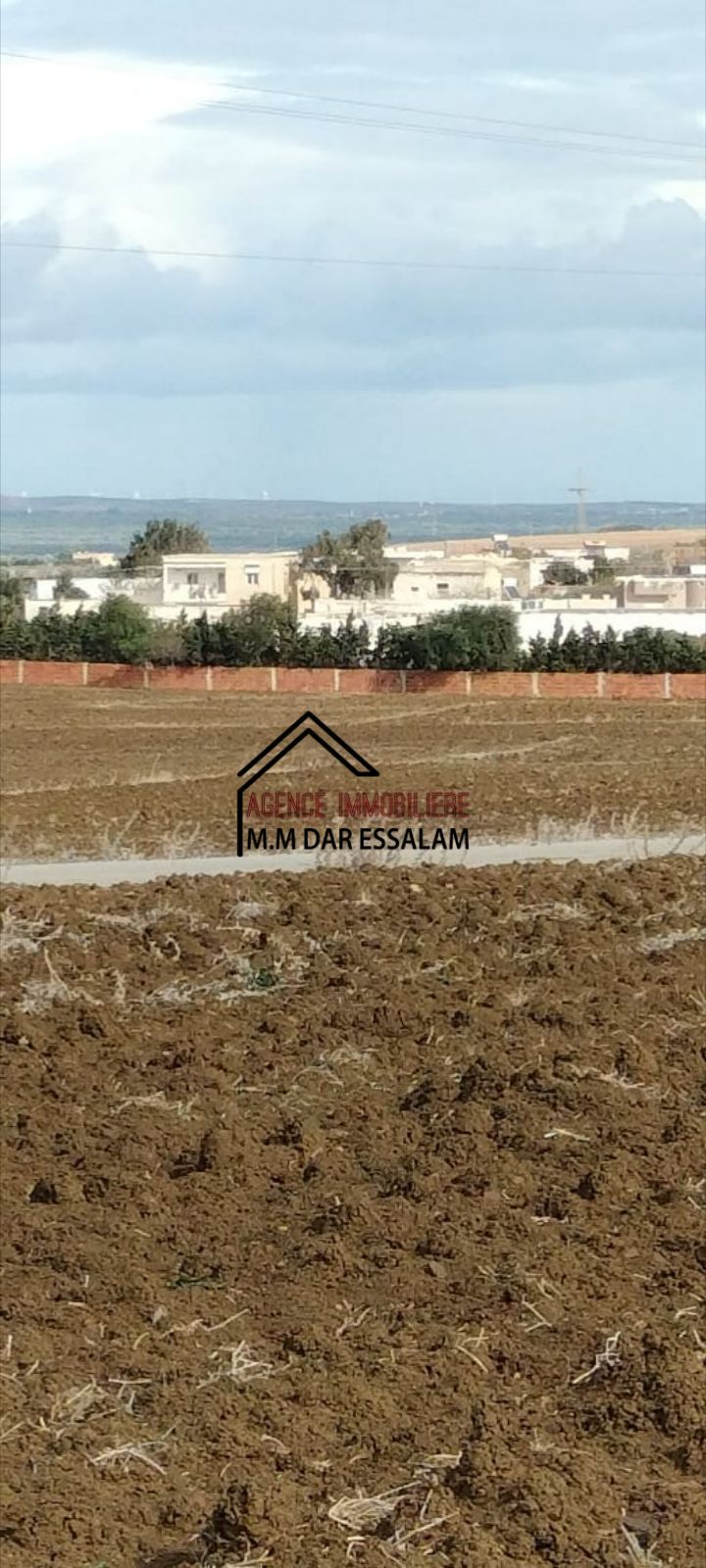 El Haouaria&nbsp;El Haouaria&nbsp;Terrain&nbsp;Terrain agricole&nbsp;Terrain agricole vue de mer