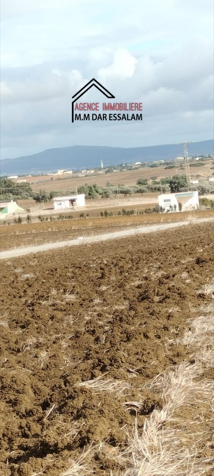 El Haouaria&nbsp;El Haouaria&nbsp;Terrain&nbsp;Terrain agricole&nbsp;Terrain agricole vue de mer