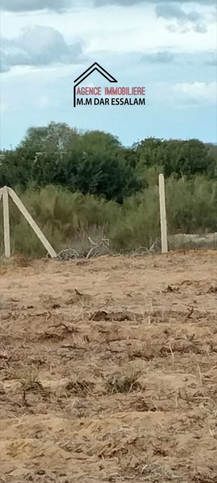 El Haouaria&nbsp;Bir El Jedey&nbsp;Terrain&nbsp;Terrain agricole&nbsp;Terrain pr�s de la plage