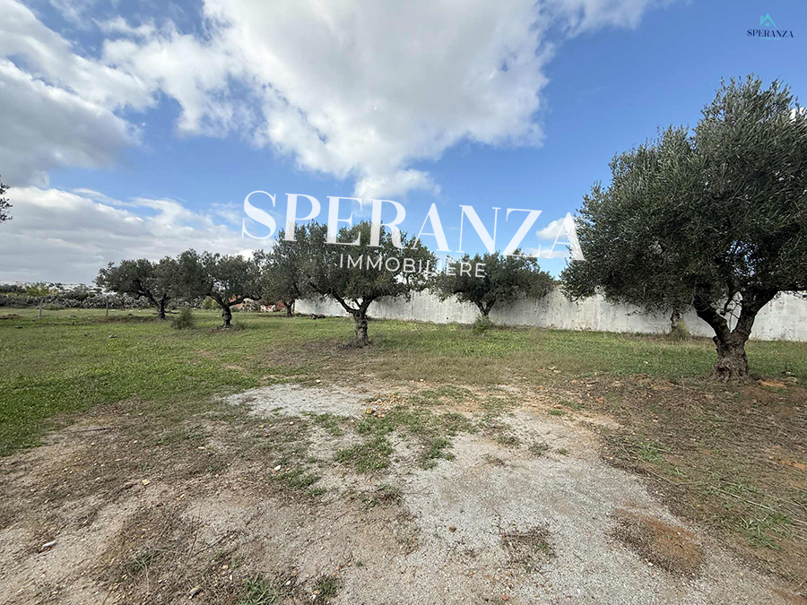 Hammamet&nbsp;Hammamet&nbsp;Vente&nbsp;Surfaces&nbsp;Terrain joudi