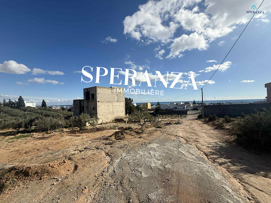 Hammamet&nbsp;Hammamet&nbsp;Vente&nbsp;Surfaces&nbsp;Terrain josephine