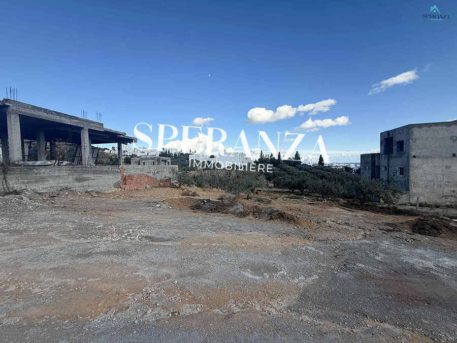 Hammamet&nbsp;Hammamet&nbsp;Vente&nbsp;Surfaces&nbsp;Terrain josephine