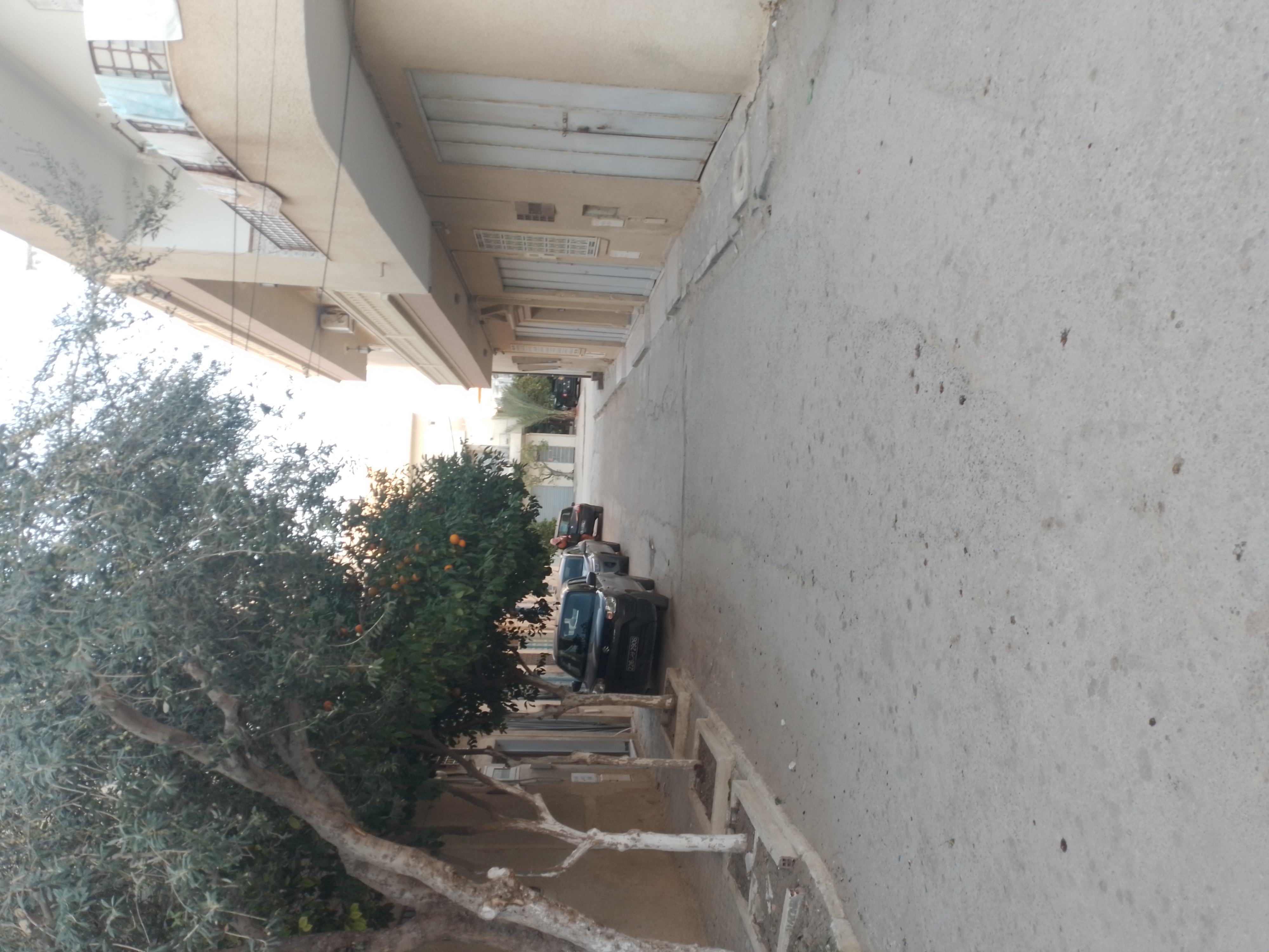 Nabeul Nabeul Terrain Terrain nu Lot 200m viabilis nabeul ville