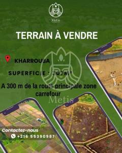 Hammamet&nbsp;Cite El Kharroub&nbsp;Vente&nbsp;Surfaces&nbsp;Terrain   ref749a