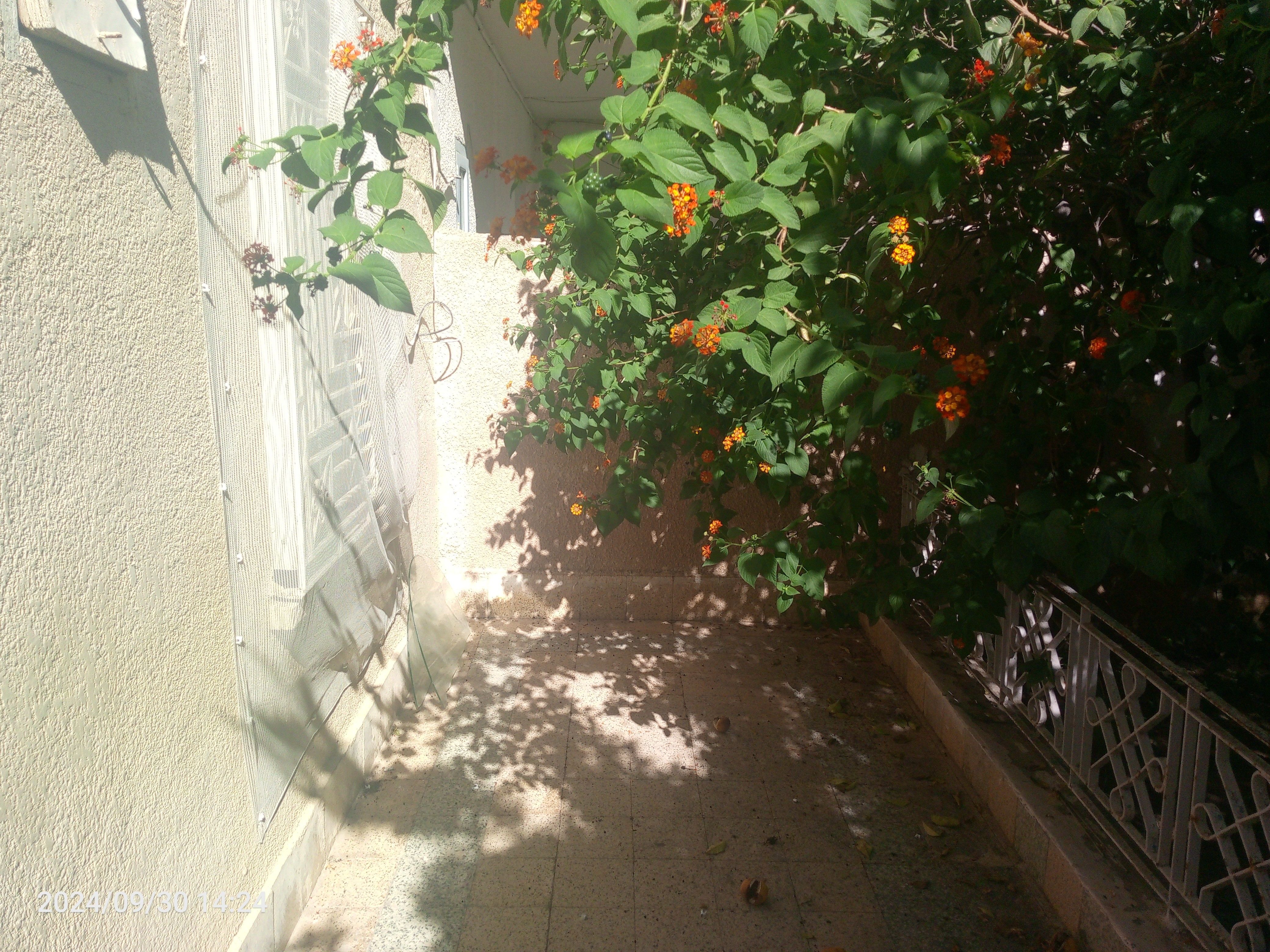 Nabeul&nbsp;Cite Mohsen Limam&nbsp;Vente&nbsp;Maisons&nbsp;Maison sidii achour nabeul